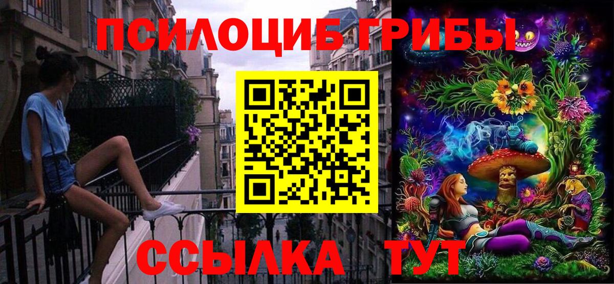 Кунгур  где продают наркотики  Вход с VPN  Галлюциногенные грибы Psilocybe 