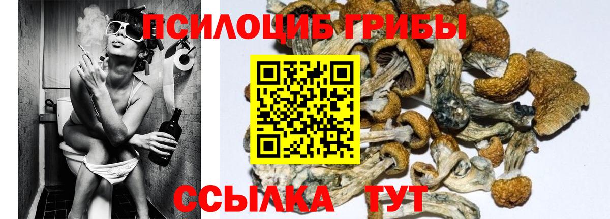 Псилоцибиновые грибы мухоморы Кунгур