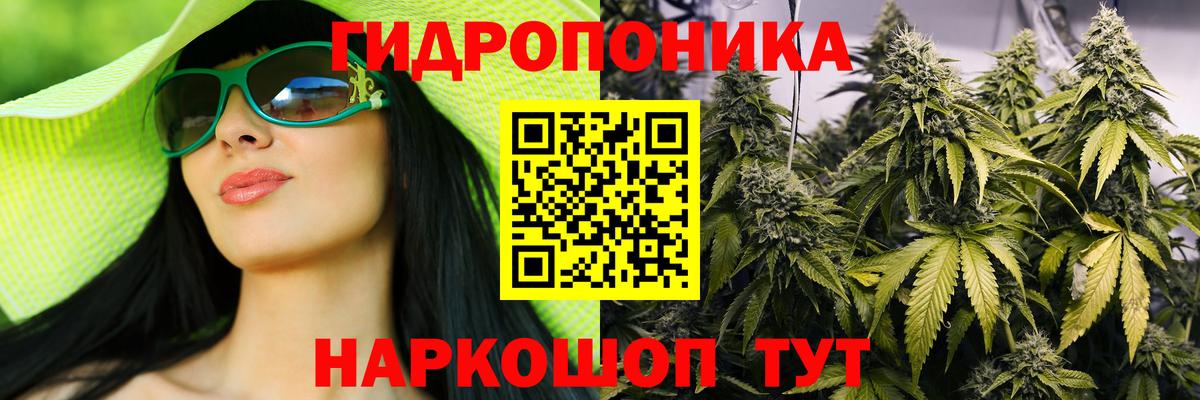 Конопля индика Кунгур